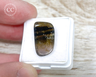 Liddicoatite Tourmaline Slice #22