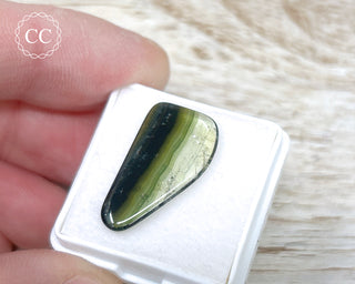 Liddicoatite Tourmaline Slice #23