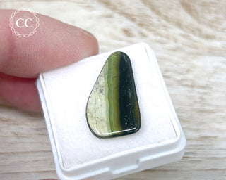 Liddicoatite Tourmaline Slice #23