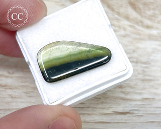 Liddicoatite Tourmaline Slice #23