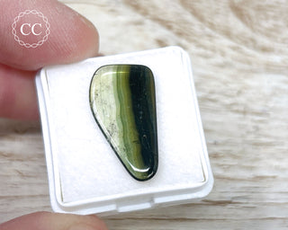 Liddicoatite Tourmaline Slice #23