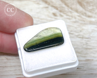 Liddicoatite Tourmaline Slice #23