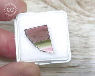 Liddicoatite Tourmaline Slice #25