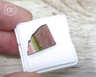 Liddicoatite Tourmaline Slice #25