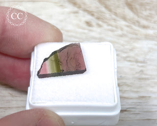 Liddicoatite Tourmaline Slice #25