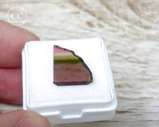 Liddicoatite Tourmaline Slice #25