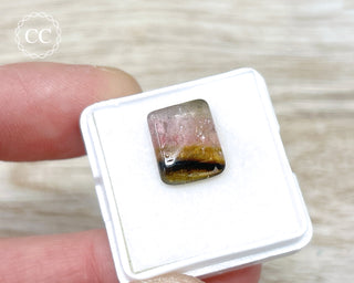 Liddicoatite Tourmaline Slice #5