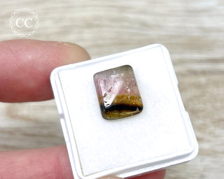 Liddicoatite Tourmaline Slice #5