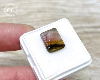 Liddicoatite Tourmaline Slice #5