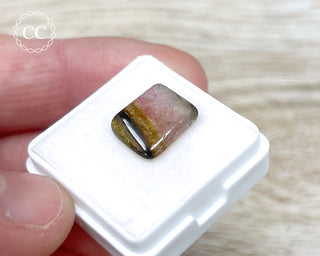 Liddicoatite Tourmaline Slice #5