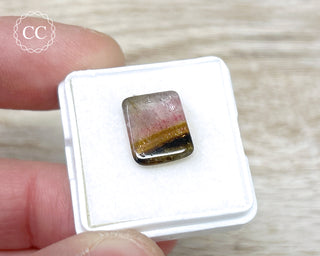Liddicoatite Tourmaline Slice #5