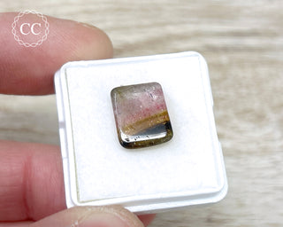 Liddicoatite Tourmaline Slice #5