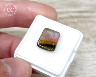 Liddicoatite Tourmaline Slice #5