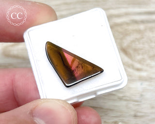 Liddicoatite Tourmaline Slice #6