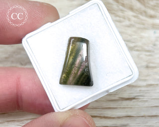 Liddicoatite Tourmaline Slice #7