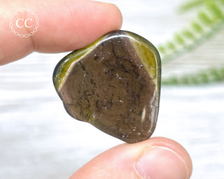 Liddicoatite Tourmaline Slice #1