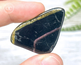 Liddicoatite Tourmaline Slice #2