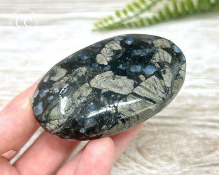 Llanite - Que Sera Chunky Palm Stone #4