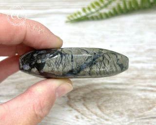 Llanite - Que Sera Chunky Palm Stone #4