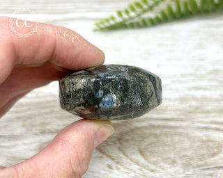 Llanite - Que Sera Chunky Palm Stone #1