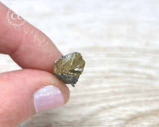 Lobanovite - Magnesioastrophyllite #1