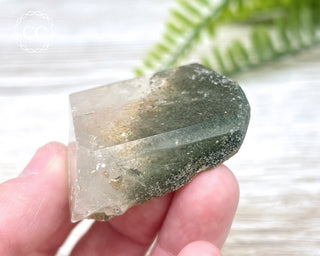 Lodolite / Garden Quartz Freeform #1