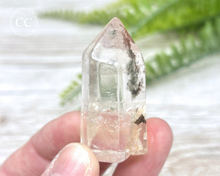 Lodolite / Garden Quartz Tower #8