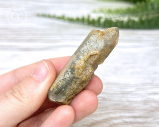 Lodolite Quartz #5