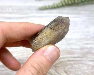 Lodolite Quartz #4