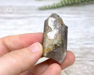 Lodolite Quartz #4