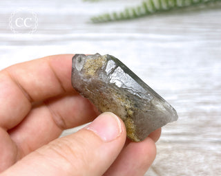 Lodolite Quartz #4