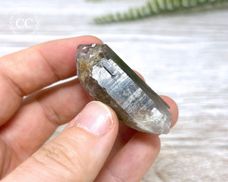 Lodolite Quartz #4