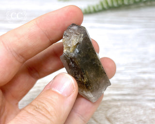 Lodolite Quartz #4