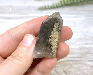 Lodolite Quartz #4