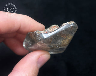 Rutilated Lodolite Quartz Polished #8