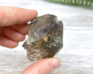 Smoky Lodolite Quartz #12