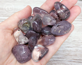 Lodolite Tumbled Crystals in hand