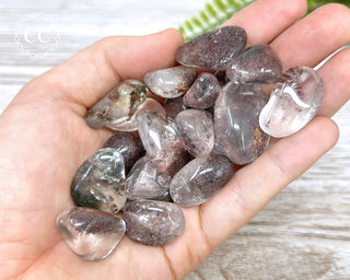 Lodolite | Garden Quartz Tumbled Crystals in hand