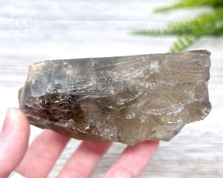 Lodolite Quartz #3