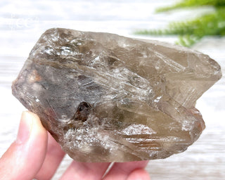 Lodolite Quartz #3