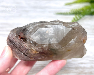 Lodolite Quartz #3