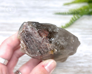 Lodolite Quartz #3