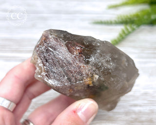 Lodolite Quartz #3