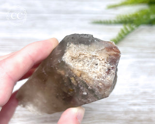 Lodolite Quartz #3