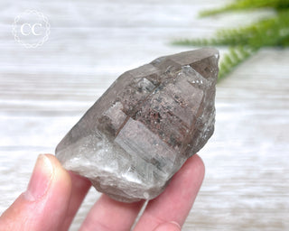 Lodolite Quartz #2