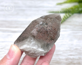 Lodolite Quartz #2