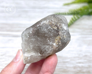 Lodolite Quartz #2