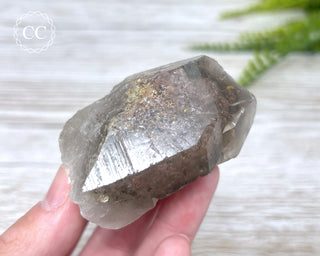 Lodolite Quartz #2