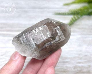 Lodolite Quartz #2