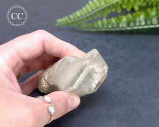 Lodolite Quartz Point #10